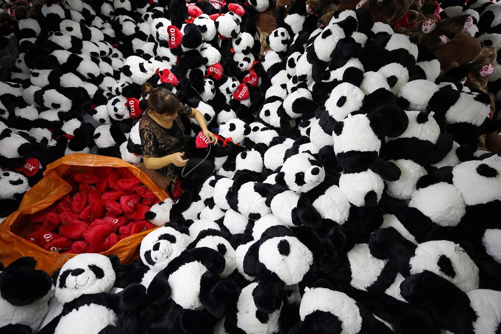 Pandalarga yurakchalar qo’yilmoqda…