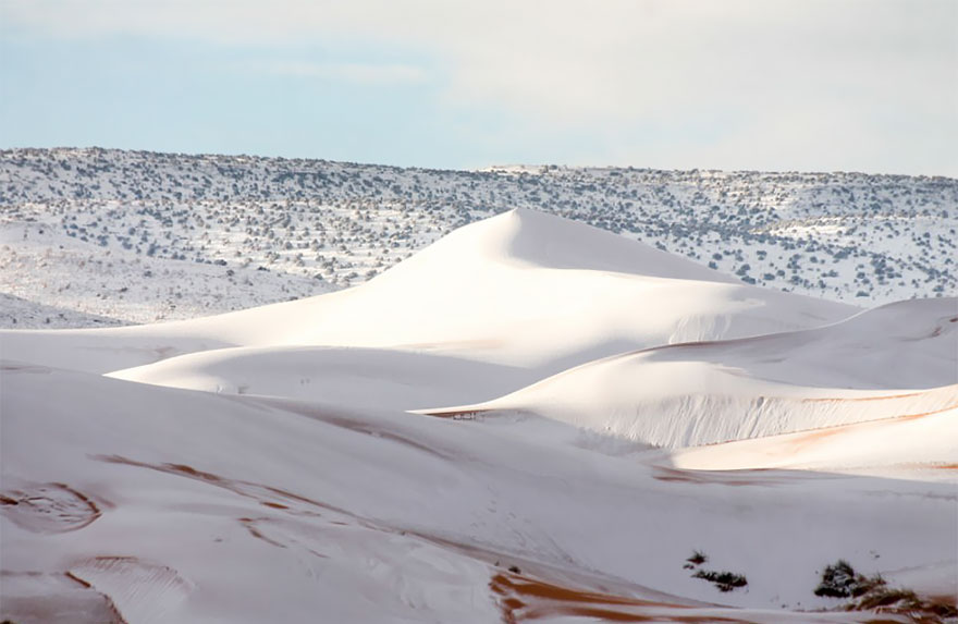 40 yil ichida uchinchi marta Saharada qor tushdi