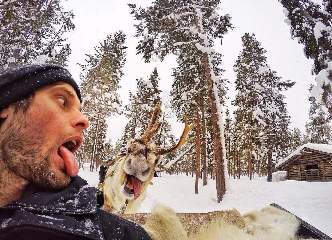 Kiyik bilan selfi, Finlandiya