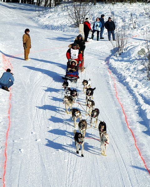 The Iditarod: The Last Great Race