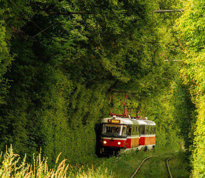 Nijniy Novgoroddagi tramvay