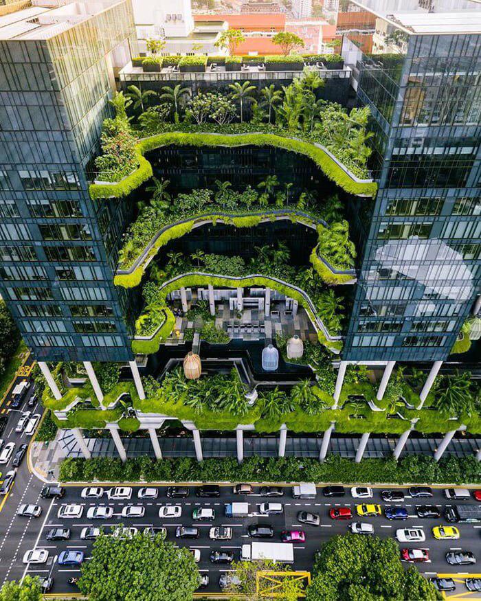 Зеленое здание в Сингапуре