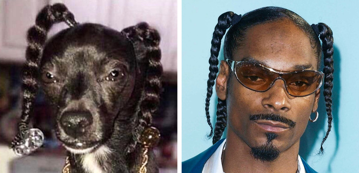 Snoop Dogg mi?