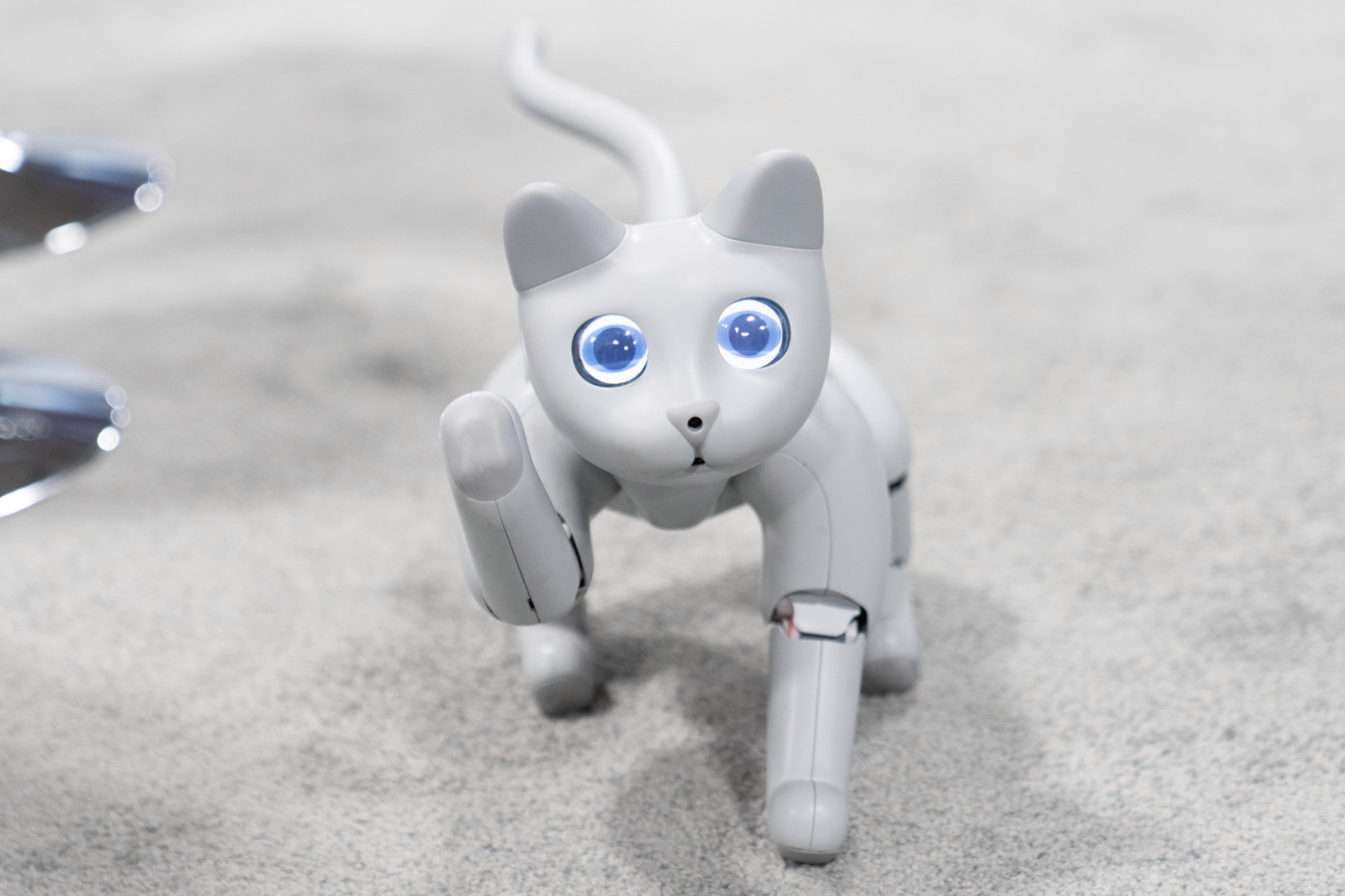 Кота-робота MarsCat показали на выставке в США