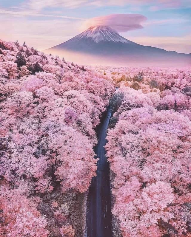 Yaponiyadagi Fuji tog’i