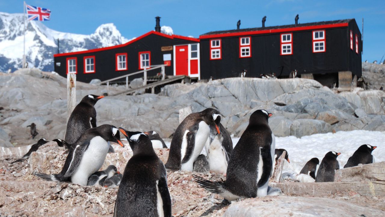 Britaniya tashkiloti Antarktidada pochta bo’limiga ishchilar qidirmoqda