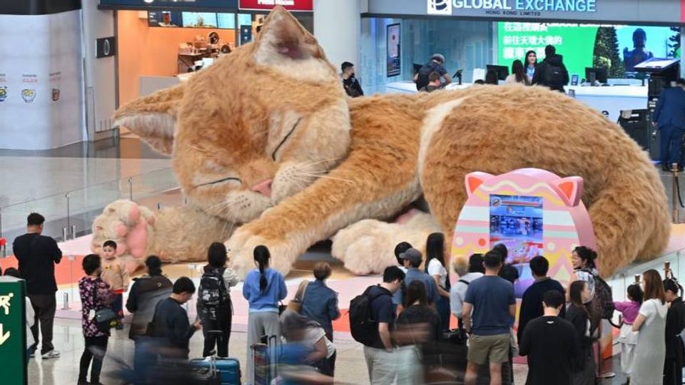 В аэропорту Гонконга появился 8‑метровый рыжий кот — он мурчит и шевелит ушами